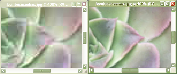 Exemple de compression JPEG